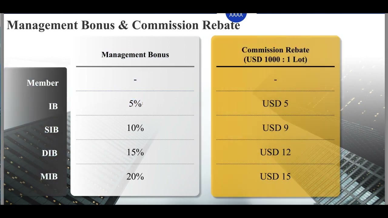 FVP Trade Marketingplan & Career Plan    Explanation