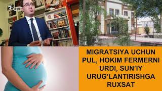 Ҳоким фермерни урди¸ миграция учун пул¸ сунъий уруғлантиришга рухсат