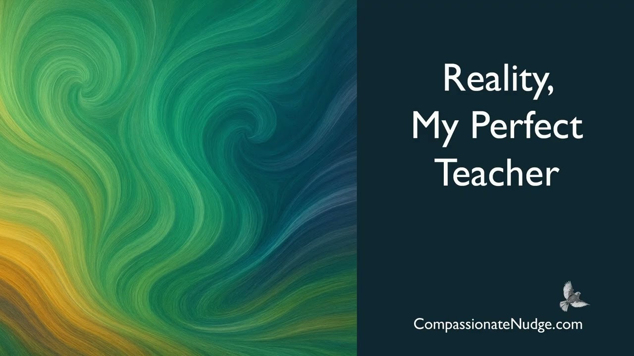 Reality My Perfect Teacher