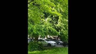 1 June 2021 Glasgow Scotland U.K.