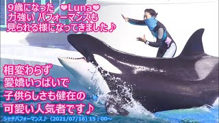 『鴨川シーワールド』シャチパフォーマンス♪（2021/07/18) 15：00～