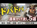 【山梨県の温泉】ドバドバ温泉5選 玉川温泉 はやぶさ温泉 トータス温泉 杖温泉弘法湯 ホテル昭和