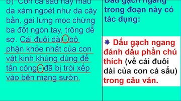 LUYỆN TỪ VÀ CÂU LỚP 4: DẤU GẠCH NGANG