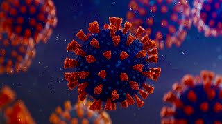 Risk of new COVID-19 wave is ‘extremely high’: Doctor