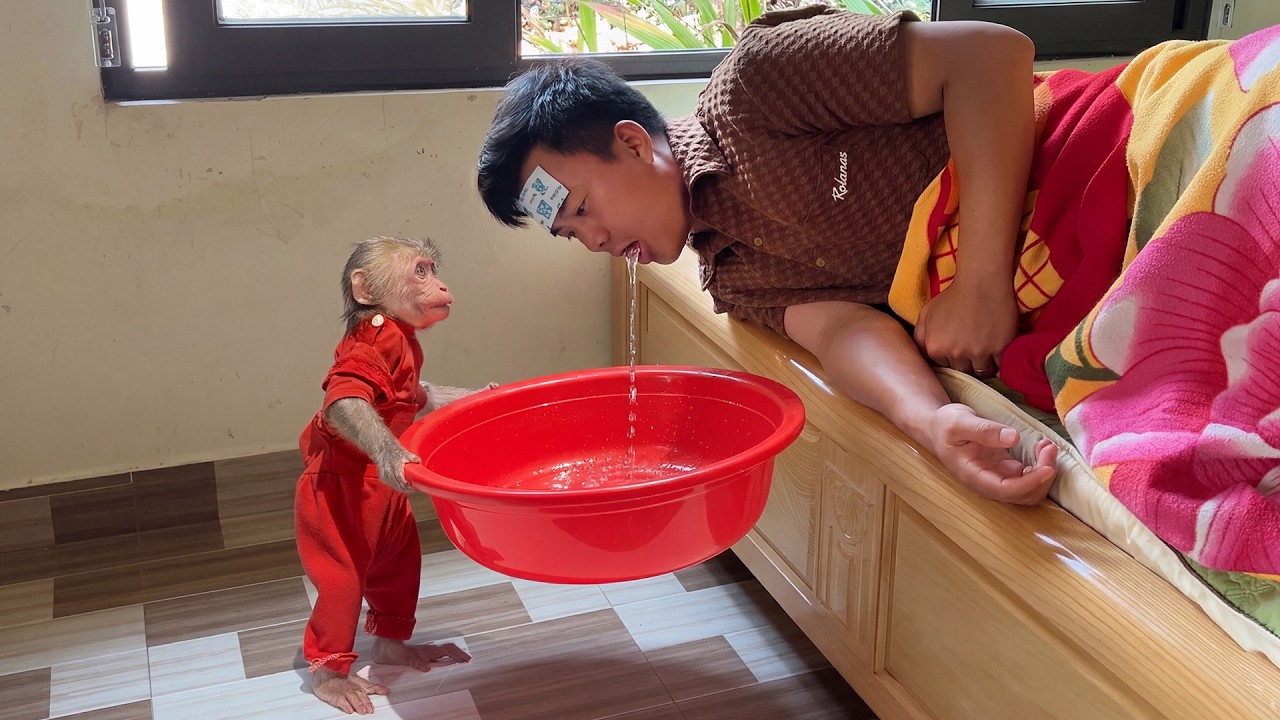 The Best of Monkey Bon 🐒 Funny, Naughty & Heartwarming Moments