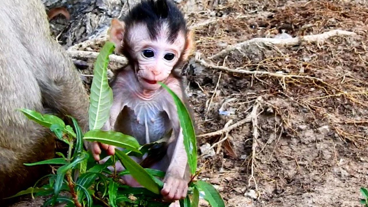 like a prayer Mg Great Job baby what are doing ?Acitve baby Like playing wit human /kind baby and mummy