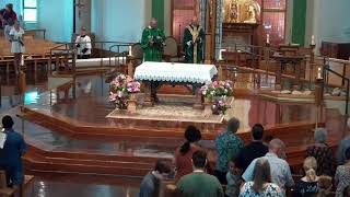 Fifteenth Sunday in Ordinary Time - July 12, 2026