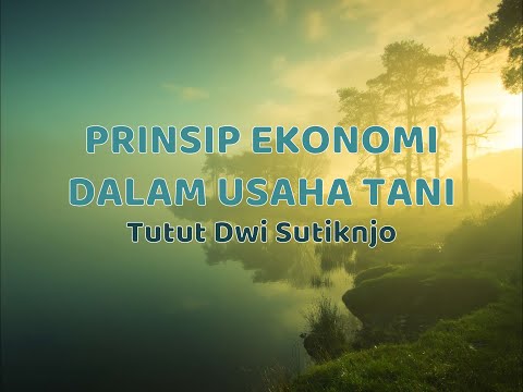 Video: Mengembangkan Perumusan Alternatif Prinsip-prinsip SCP - Ds (11 Dan Terus Bertambah)