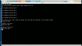 Make a hand cricket game in JAVA.. screenshot 5