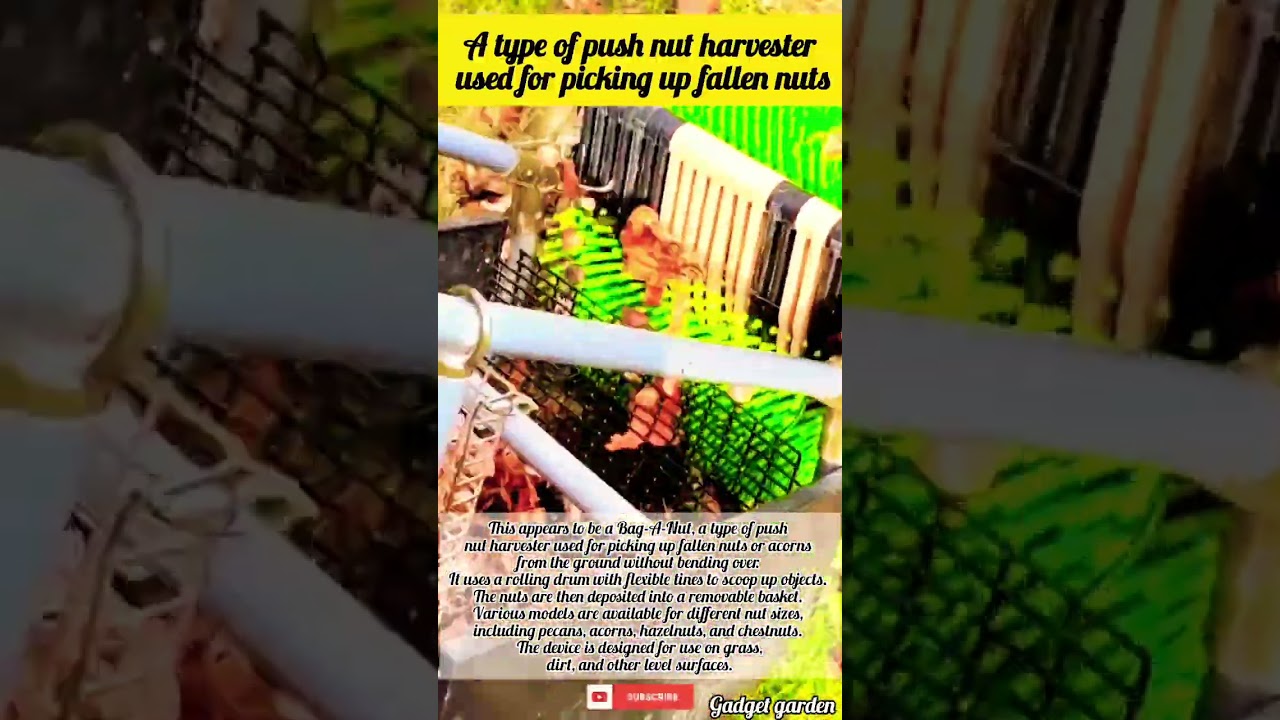 Garden Hack | This Tool is a Game Changer 🤯.