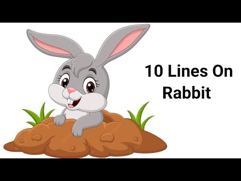 Rabbit Essay Writing In English || 10 Lines On Rabbit || Essay On My  Favourite Animal - YouTube