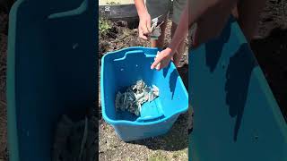 Want to build your own worm composting bin? Watch this video to learn how!
