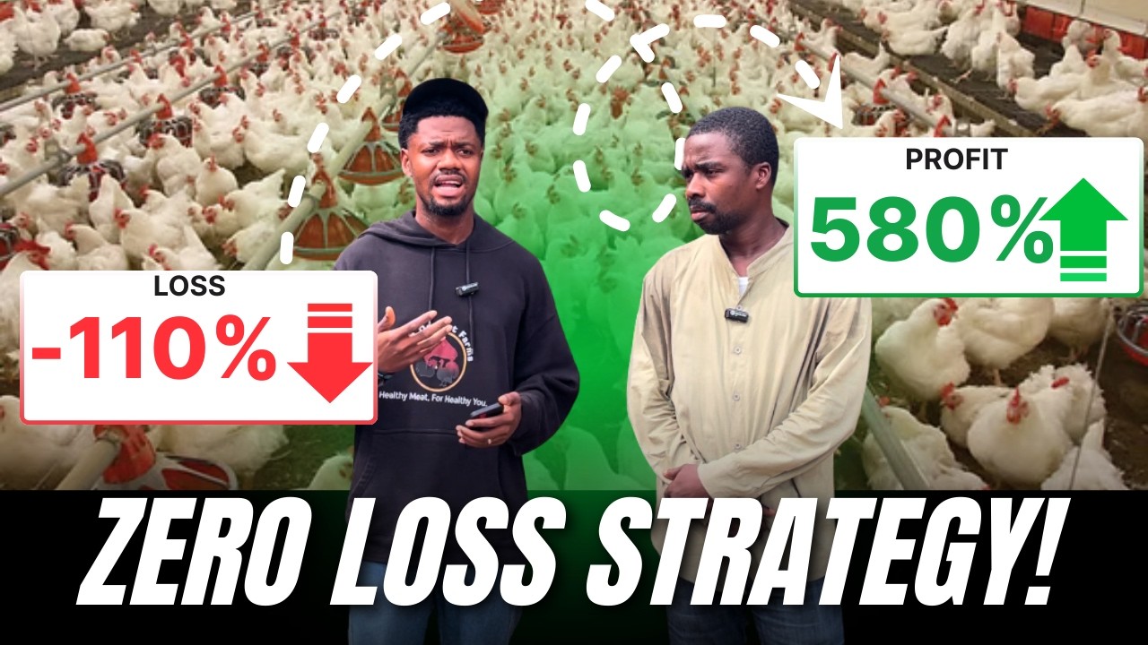 Я посетил молодого птицевода, зарабатывающего миллионы – его секреты прибыли меня потрясли!