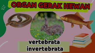 ORGAN GERAK HEWAN || Tematik Kelas 5 Tema 1 Muatan IPA