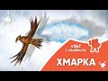 Казкі з Маляванычам ⛅ Хмарка (Якуб Колас)