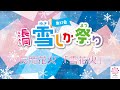 第37回長岡雪しか祭り 長岡花火「雪花火」