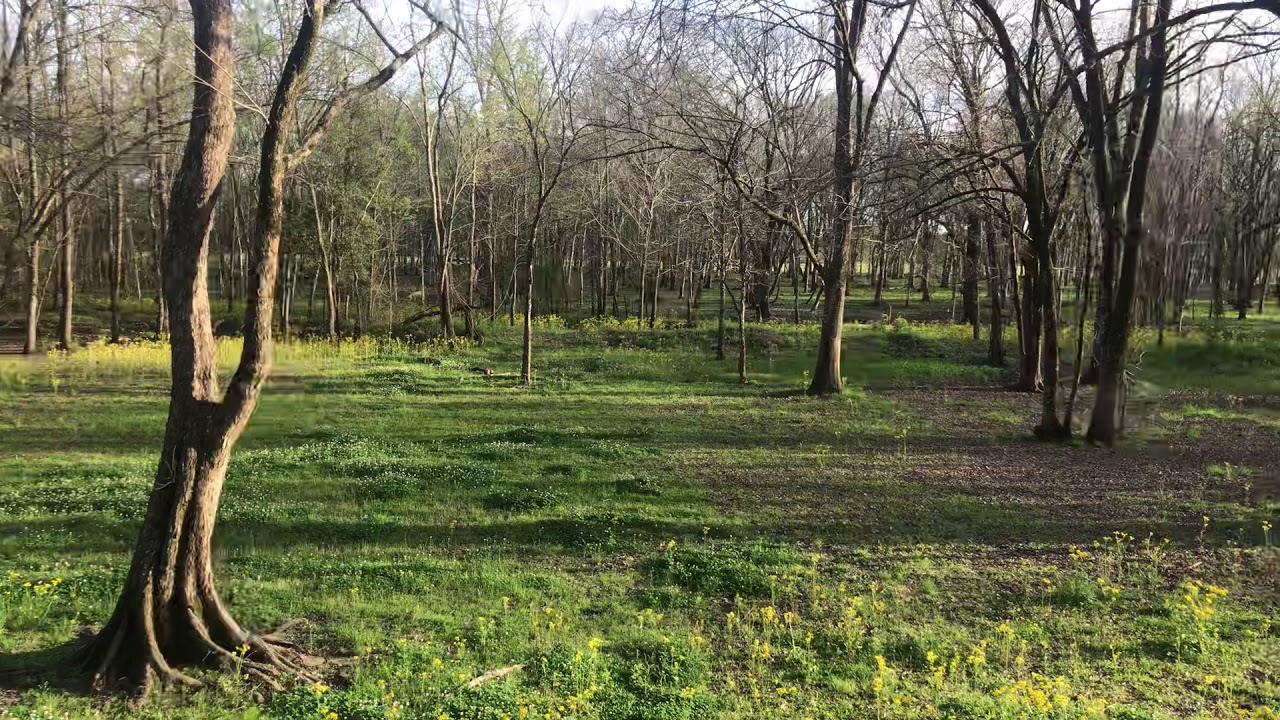 Louisiana Living YouTube