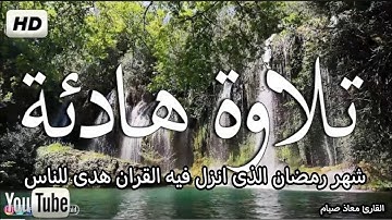 سورة الواقعة+ سورة الرحمن + سورة يس - أرح قلبك القارئ معاذ صيام