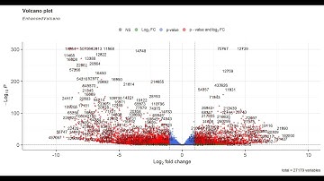 Differential Gene Expression Analysis in R | RNA-seq Tutorial Step-by-Step (RNA-seq 4)