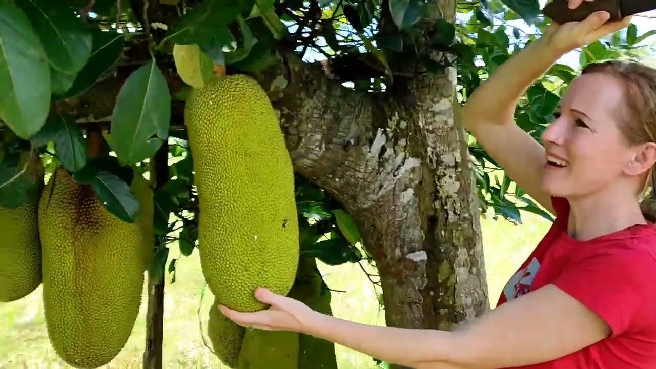 Polish Wife cooks Jackfruit for the first time