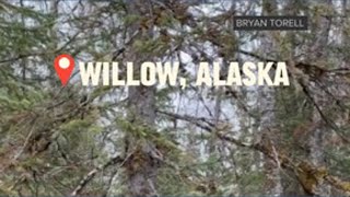Bear cubs caught exploring Alaska cabin