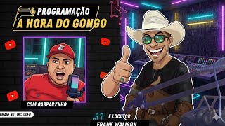 Testando equipamentos e interação! #reidogongo #musica #forrozão #microfone #tomate #mt1060r