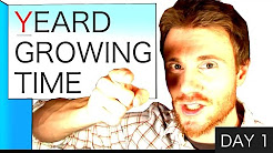 PROJECT YEARD 365 - YouTube