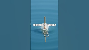 The Floating Paper Clip Experiment