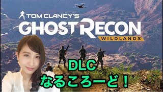 ゴーストリコン　まったりナルコロード