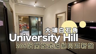 【信報睇盤】大埔白石角University Hill 206呎開放式細絕同區新盤