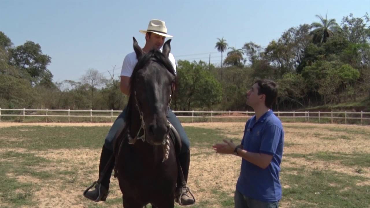 EXERCÍCIOS DE RÉDEA LIVRE