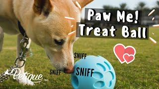 Petique Paw Me! Treat Ball Dispenser — Puppy Fever Pro