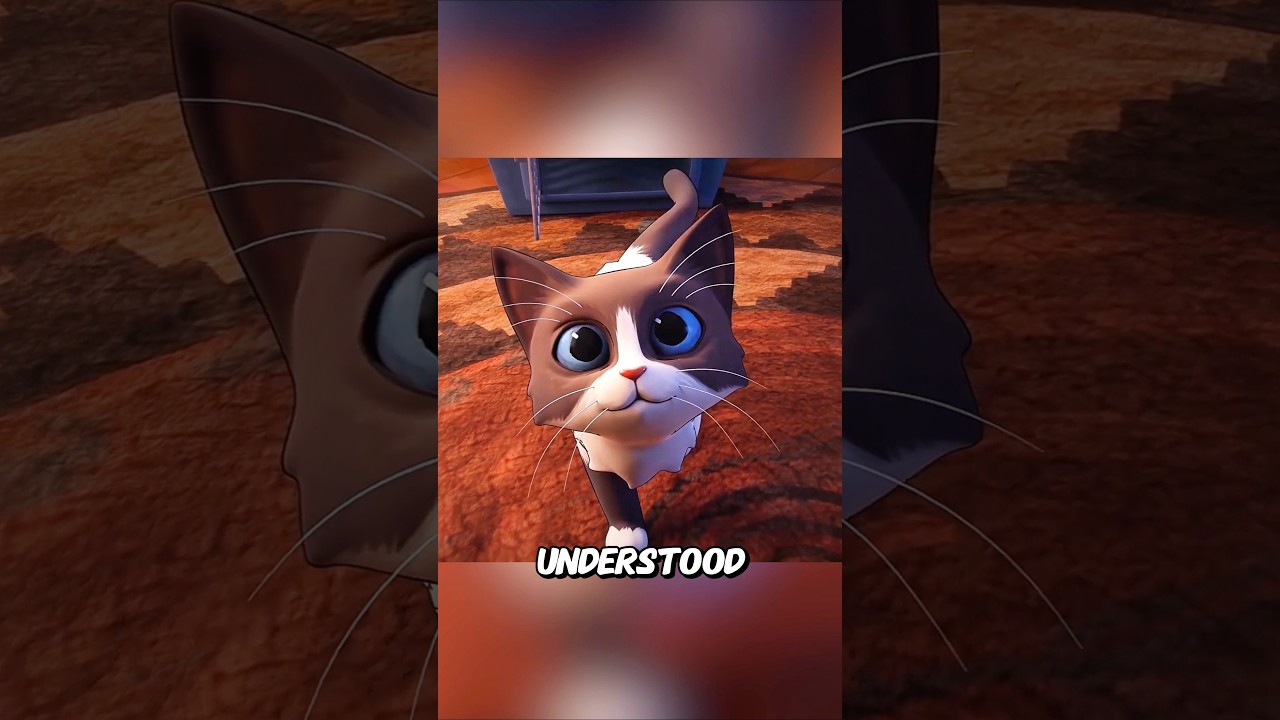 Трехногий кот, который нашел чудо под дождем 🌧️🐾❤️