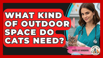 What Kind Of Outdoor Space Do Cats Need? - Happy Cat Handbook