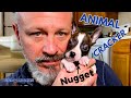 METH ADDICT BEAT THIS PUPPY ALMOST TO DEATH! ~ RESCUED by Animal Rescue R US! (Part 1)