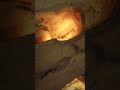 الكنيسة المظلمة الاغرب من نوعها بالعالم فيها عجب العجاب الكنيسة المظلمة الاغرب من نوعها بالعالم فيها عجب العجاب