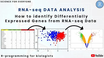 How to find Differentially Expressed Genes (DEGs) from RNA-seq Gene Expression Data | R-studio