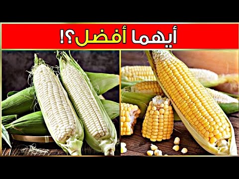 الذرة الصفراء أم الذرة البيضاء أيهما أفضل لمرضى السكري و ما هي الكمية المسموح تناولها