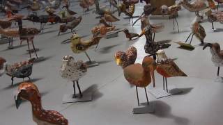 Zarapitos En Mam Chiloé