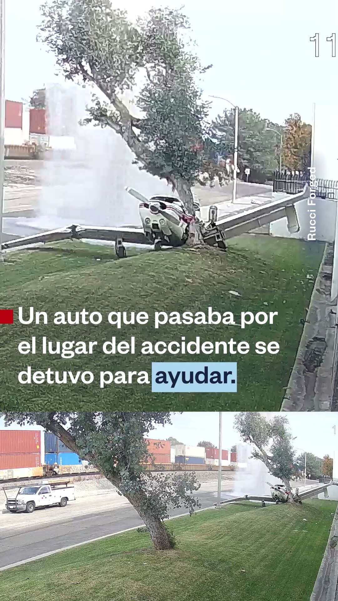 Avioneta pierde el control y se estrella contra un árbol | Noticias Telemundo