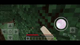 MINECRAFT but I'm getting RAILED!