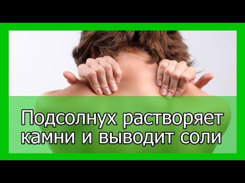 Подсолнух растворяет желчные