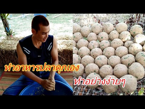 วิธีทำอาหารปลาดุกแบบลดต้นทุนและประหยัด|กบปลาพารวย