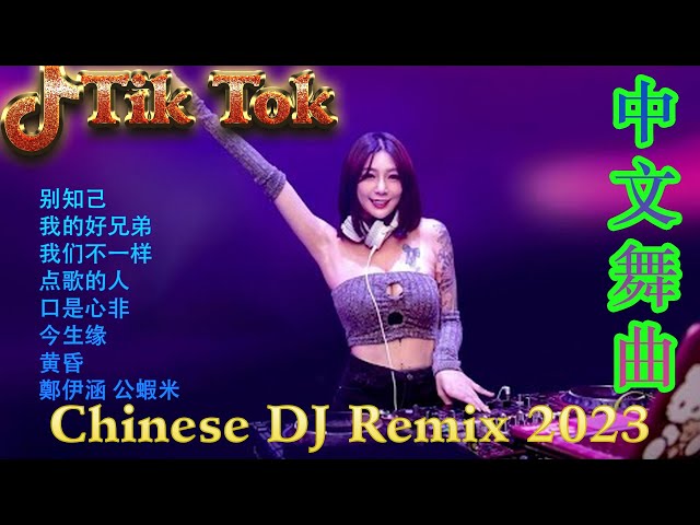 你的样子 《最佳中国 DJ 音乐》2023夜店舞曲 重低音, 精选歌曲 超好听 🎶 最好的音樂Chinese DJ remix🎵Hot Tiktok Douyin Dj抖音版2023 class=