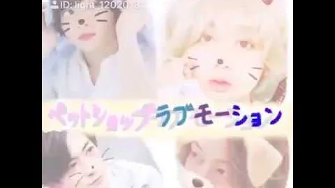 تحميل ペットショップラブモーション تحميل ペットショップラブモーション