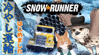 【雪道暴走？】沼ったときどうしてそうなったかで人がわかる…んじゃないかなあ？【Snow Runner】