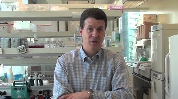 Dr. Steve Scherer on the Power of Genomics