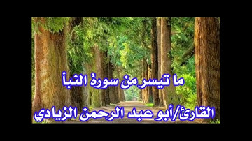 ما تيسر من سورة النبأ للقارئ أبي عبد الرحمن محمد الزيادي