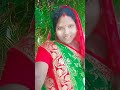 Katha Ta Anak Holo Biya Ta Haba Kaba Song Music Vairalvideo