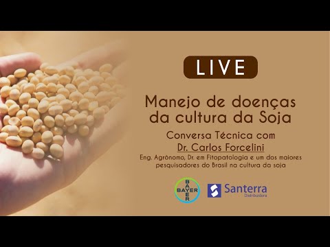 Live - Manejo de doenças da cultura da Soja - Santerra e Bayer